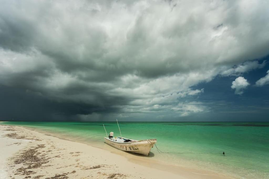 Impresionante En Ilha Holbox